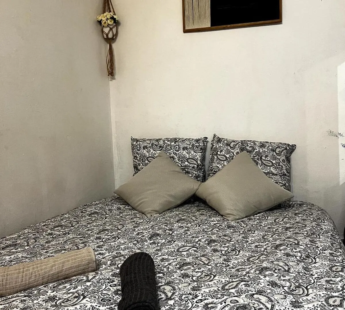 شقة Petit Appartement A Deux Pas De La Place Du Capitole تولوز فرنسا